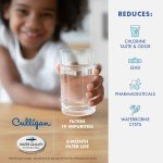 Culligan Refrigerator Water Filter - GE MWF Replacement