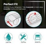 ICEPURE Plus NSF Water Filter Compatible with Whirlpool