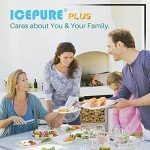 ICEPURE Plus NSF Water Filter Compatible with Whirlpool