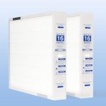 Carrier GAPCCCAR2025 MERV-16 Air Filter - 2 Pack