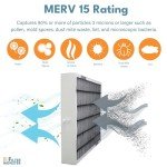 Replacement Filter for Bryant/Carrier Infinity 24” x 20”