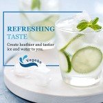 Vegebe Inline Water Filter Replacement Cartridge (2-Pack)