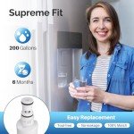 ICEPURE 4396701 Water Filter Replacement - 2 Pack