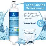 SAFWAT 847200 Water Filter for Fisher & Paykel