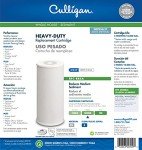 Culligan 25 Micron Whole House Water Filter