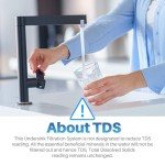 ICEPURE Under Sink Water Filter System - 3 Year Life