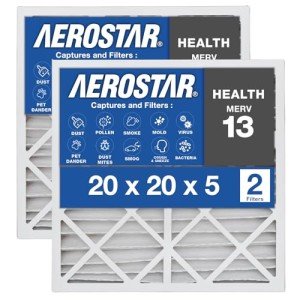 Aerostar MERV 13 Pleated Air Filters - 2 Pack