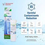 Swift Green Refrigerator Water Filter - 2 Pack