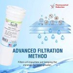 Swift Green Refrigerator Water Filter - 2 Pack