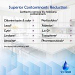 FPPWFU01 Wasserersatz für PureAdvantage PurePour (2er Set)