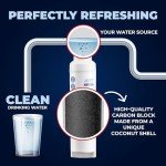 Daewoo DW2042FR Water Filter Replacement - NSF Certified