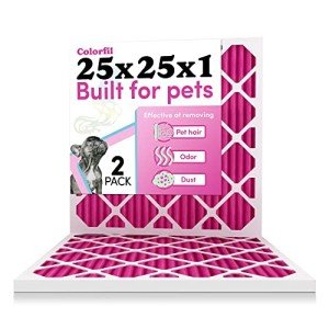 Color Changing 25x25x1 Air Filter for Pets
