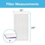 Filtrete MERV 12 12x24x1 Air Filter 2-Pack