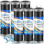 Brightify 10"x2.5" 5 Micron Carbon Water Filters