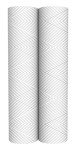 Pentair OMNIFilter RS7 Sediment Water Filter Cartridge