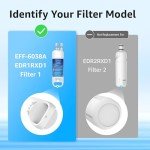 EcoAqua Water Filter Replacement, 2 Pack