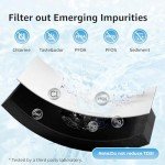 EcoAqua Water Filter Replacement, 2 Pack