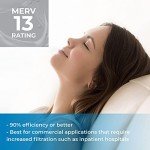 SpiroPure MERV 13 Pleated Air Filters (6 Pack)