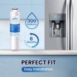 ICEPURE RWF0700A Refrigerator Water Filter Replacement