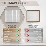 2-Pack AprilAire 416 Filter Replacement, MERV 16