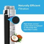 Brio GSWF Compatible Refrigerator Water Filter