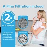 Brio GSWF Compatible Refrigerator Water Filter