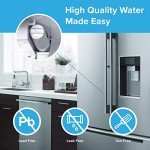 Brio GSWF Compatible Refrigerator Water Filter