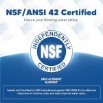 Water Filter Replacement for GE and Kenmore - 2 Pack