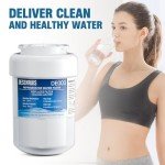 Water Filter Replacement for GE and Kenmore - 2 Pack