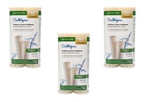 Culligan Whole House Water Filter 3-Pack, 16,000 Gallons