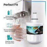 ICEPURE 2-Pack Refrigerator Water Filter Replacement