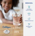 Culligan CUW1 Refrigerator Water Filter Replacement