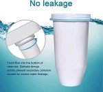 Zeroliquid ZR-001 Advanced Water Filter 12 Pack