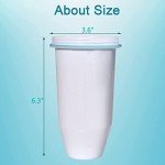 Zeroliquid ZR-001 Advanced Water Filter 12 Pack