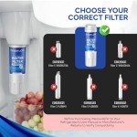 EVERFLOW UKF8001 Compatible Water Filter – 3 Pack