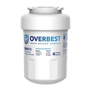 Overbest OB6013 Water Filter Compatible with GE