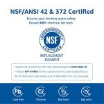 Overbest Replacement Water Filter for GE XWF - 3 Pack