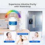 Waterdrop Alkaline WD-F13 Refrigerator Water Filter