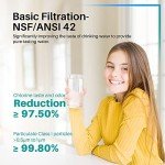 ICEPURE DA29-00003G Water Filter Replacement 3-Pack