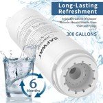 SAFWAT RWFDISP Replacement Water Filter for Viking