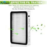 HEPA Media Filter for Kenmore EF-2 Vacuum