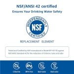 Waterspecialist WS619C RPWFE® Refrigerator Water Filter