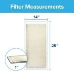 Filtrete 35x63x1 Air Filters, MPR 300, MERV 5