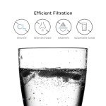 Fisher & Paykel NSF Certified Water Filter, 1 Pack