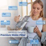 Golden IcePure Plus DW2042RF Refrigerator Water Filter