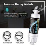 ICEPURE PLUS 46-9690 Replacement Water & Air Filters