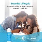 AQUA CREST GXRTDR Inline Water Filter Replacement