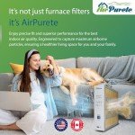 AirPurete M2-1056 Replacement Filter - Pack of 3