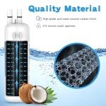 Fancial NSF Water Filter 1 Replacement - 2 Pack