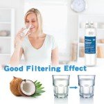 Fancial NSF Water Filter 1 Replacement - 2 Pack